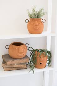 Jardineria En Macetas Panosundaki Pin