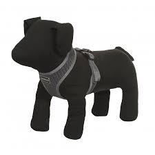 Comfort Air Harness Grey