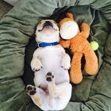 Book an appointment and read reviews on highland animal hospital, 311 east county line road, littleton, colorado with topvet Highland Village Pet Hospital 31 Photos 76 Reviews Veterinarians 7257 Boulder Ave Highland Ca Phone Number