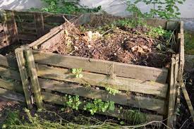 Remember that a compost pile is a work in progress. 10 Things You Should Not Put In Your Compost Pile Small Footprint Family