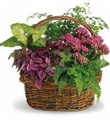 Secret Garden Basket Get Well Flowers Garden Basket Plant Basket