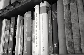 Im fokus steht die systemische betrachtung der anatomie, zugeschnitten auf die osteopathische herangehensweise. Osteopathie Studium Und M Sc D O Darauf Kommt Es An