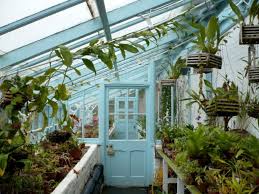 Check spelling or type a new query. The Complete Guide To Starting A Home Greenhouse What You Need To Know