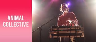 Animal Collective Mr Smalls Theater Pittsburgh Pa