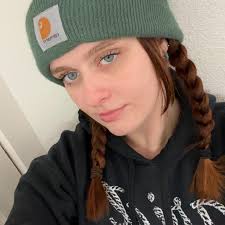 Lost german shepards in Somerset Dr area