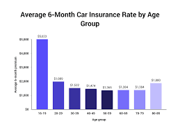 Teens are new drivers, inexperienced at dealing with complex traffic patterns and bad weather, and are. Car Insurance Industry Statistics In 2021 The Zebra