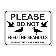 Please Do Not Feed the Seagulls No Matter What They Say 12x9 Caution Sign  Made in the USA - Etsy