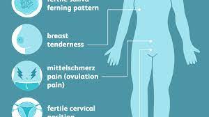 8 Signs Of Ovulation To Detect Your Most Fertile Time