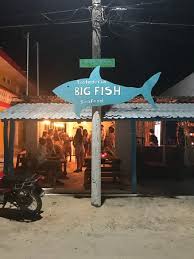 Maybe you would like to learn more about one of these? Where To Eat Mexican Food In Holbox Island The Best Restaurants And Bars