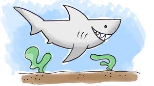 Shark png you can download 31 free shark png images. How To Draw A Cartoon Shark Youtube