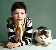 Kedi Beslenmesi Kedilerin Yiyebilecegi Meyveler My Animals