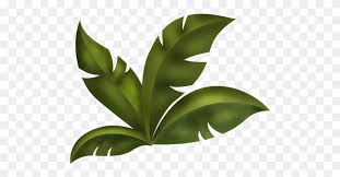 Clipart Mix Jungle Leaves Png Stunning Free Transparent Png Clipart Images Free Download Here you can explore hq jungle leaf transparent illustrations, icons and clipart with filter setting like size, type, color etc. clipart mix jungle leaves png