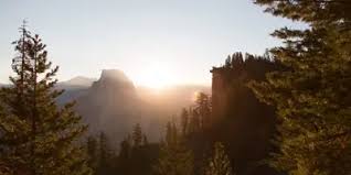 By continuing to use pastebin, you agree to our use of cookies as described in the cookies policy. Ragdoll Script Pastebin Gui