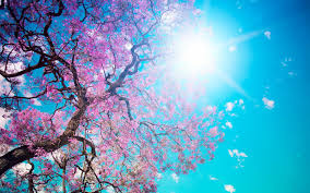 Lente Achtergronden Lente Wallpapers Lente Wallpaper 00b Hd Bedeko Achtergrond Bureaublad Bureaublad Achtergrond Achtergronden