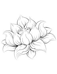 Pin By Robyn Hurst On Tattoo Designs Lotus Flower Drawing Lotus Tattoo Design Lotus Drawing