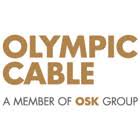 I'm looking for dc to converter drones Job Production Manager At Olympic Cable Company Sdn Bhd A Member Of Osk Group Malaysia