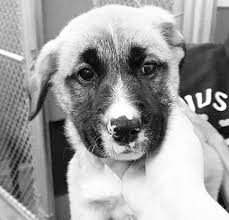 Trenton Republican-Times_1-12-23 by HoneycuttMedia