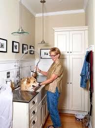 dog washing