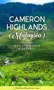 What To Do At Cameron Highlands Malaysia Malaysia Travel Cameron Highlands Malaysia