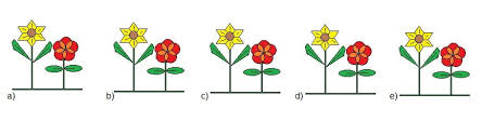 All clips from the driver and vehicle standards agency revision question bank. Bank Test Der Einstellungstest
