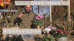 As the store was out of fresh flowers for my requested. Mdr Garten Youtube Channel Analytics And Report Powered By Noxinfluencer Mobile