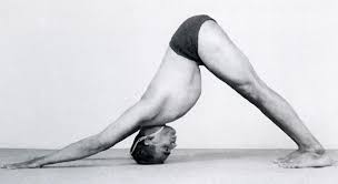 Image result for adho mukha svanasana yoga
