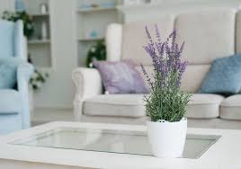 If you entertain on a regular basis a tray table can be a wise purchase. The Best Plants For Each Room Of Your Apartment Essex