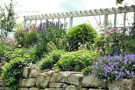 Sonnige Herbstgrusse Garten Garten Gestalten Cottage Garten