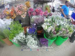 Kebanyakan tumbuhan tumbuh sihat pada kadar suhu 60 hingga 70°f. Fresh Flower Murah Murah