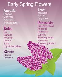 Maybe you would like to learn more about one of these? Spring Blooming Plants 20 Top Picks For Early Spring Flowers Updated