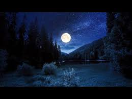 Listen to musica relaxante | soundcloud is an audio platform that lets you listen to what you love and share the stream tracks and playlists from musica relaxante on your desktop or mobile device. Musica Relaxante E Sons Da Natureza Acalmar Relaxar Dormir Gato Coins