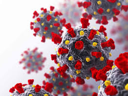 The covid delta variant that was originally discovered in india is now spreading around the world. Delta Plus All You Need To Know About The Variant Of Concern