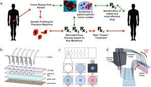 Diagnostic testing, also called medical testing, is used to verify or rule out the presence of disease. In Vitro Patient Derived 3d Mesothelioma Tumor Organoids Facilitate Patient Centric Therapeutic Screening Scientific Reports