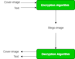 Image result for Steganography