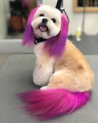 Bubbles and bows gives your pet the complete spa experience. Opawz Permanent Dye For Dog And Horse In 2021 Dog Hair Dye Dog Dye Creative Grooming