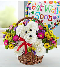 Check spelling or type a new query. A Dog Able In A Basket Get Well Florist Hagerstown Md