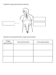 Maybe you would like to learn more about one of these? Labelkan Organ Perkumuhan Manusia Pdf