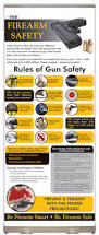 Image result for Gun Safety