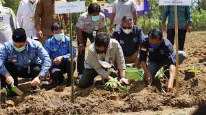 Waktu lokal saat ini di jambi adalah 12 menit lebih dulu waktu matahari yang terlihat. Kementan Garap 1 000 Hektare Lahan Porang Di Pangkep Republika Online