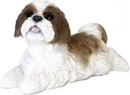 Oorspronkelijk was dit een kruising mix van een maltezer x shih tsu hondje. Bol Com Beeldje Liggende Bruine Boomer Hond 19 Cm