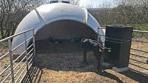 Family Dairy Saves Money By Making Their Own Calf Hutches - Farmers Weekly