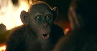Survival verabschiedet sich regisseur und autor matt reeves von caesar matt reeves liefert mit planet der affen: Meet Steve Zahn S Bad Ape In New Clip From War For The Planet Of The Apes