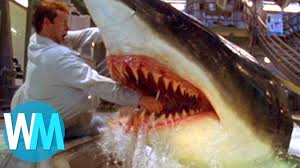 Les accidents sont dramatiques, et il est primordial de ne prendre aucun risque inconsidéré. Top 10 Des Attaques De Requin Les Plus Terrifiantes Youtube