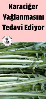 Karaciger Yaglanmasini Tedavi Ediyor Saglikli Tarifler Saglikli Yemek Tarifleri