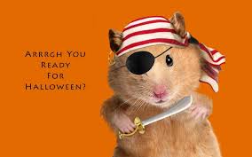 Maybe you would like to learn more about one of these? Funny Halloween Wallpapers One Hd Wallpaper Pictures Backgrounds
