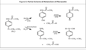 We did not find results for: Fenacetin