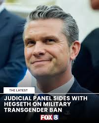 A D.C. Circuit panel