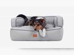 Hundebetten online kaufen farbenfrohe gestaltung robust & langlebig mit möglichkeit zur personalisierung hier bestellen! Hundebetten Schlaf Und Liegeplatze Hund Kaufen Verkaufen Bei Deinetierwelt