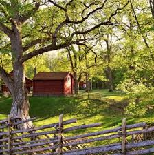 We help you find the best lawn care services in stafford, va. Stafford Best Lawn Care Services