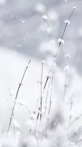 The 85 Best Flower Wallpapers For Tumblr The 85 Best Flower Wallpapers For Tumblr Flowe Snow Wallpaper Iphone Iphone Wallpaper Winter Winter Wallpaper So laden sie aesthetic hintergrundbilder winter tumblr herunter pinterest